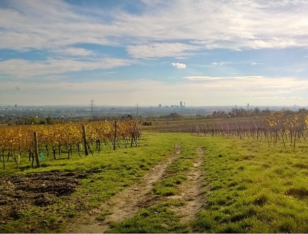 Hersbstspaziergaenge -stammersdorf - marie