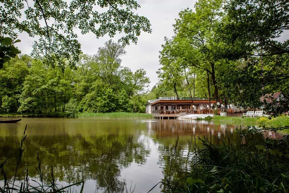 11218872_895116870562591_2256473089486339069_n