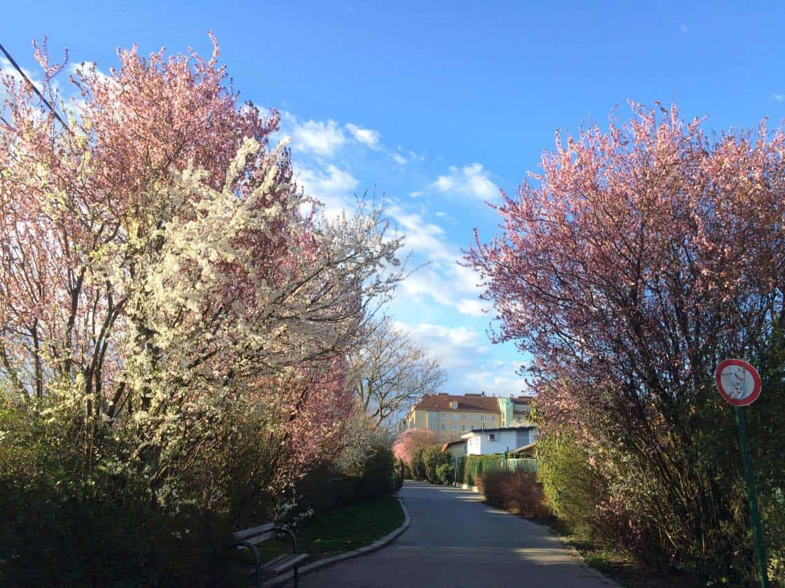 12948389_10209270635106770_1627245642_o