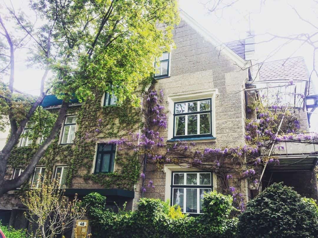 Wiens schoenste Fassaden