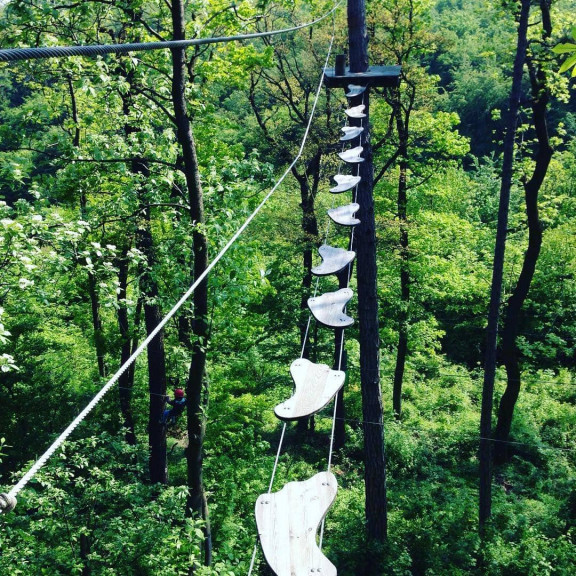 Waldseilpark Kahlenberg