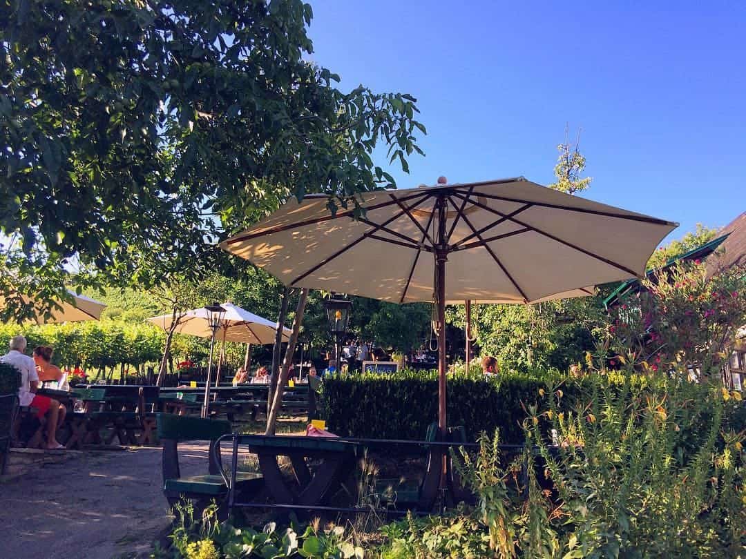 Weinhof Zimmermann-Sommerausklang