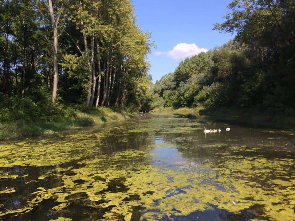 wien gut inline-skaten