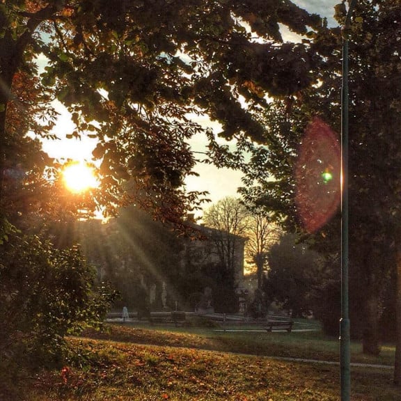 steinhofgründe herbst