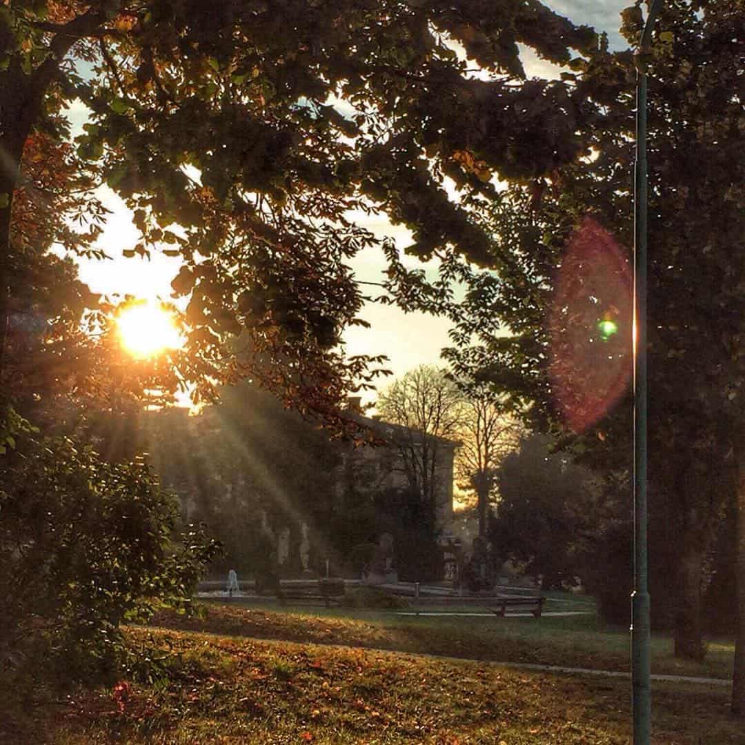 steinhofgründe herbst