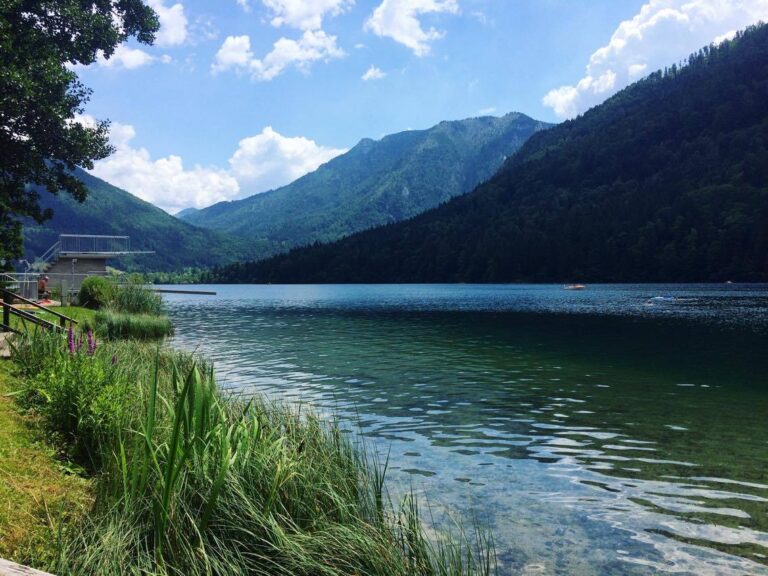 Blick auf den idyllischen Lunzer See, umgeben von bewaldeten Bergen und sanften Hügeln. Das klare Wasser spiegelt den Himmel und die Natur wider. Am Ufer wachsen Schilf und Gras, während im Hintergrund ein modernes Holzgebäude zu sehen ist. Die Szene vermittelt Ruhe und Naturverbundenheit an einem sonnigen Tag mit blauem Himmel und weißen Wolken.