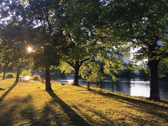 Kaiserwasser Sommer Wien