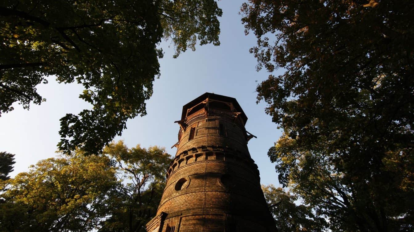 Der Wiener Türkenschanzpark im 18. Bezirk (c) MA 42 / Lammerhuber