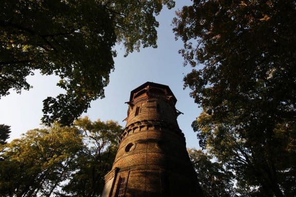 Der Wiener Türkenschanzpark (c) MA 42 / Lammerhuber