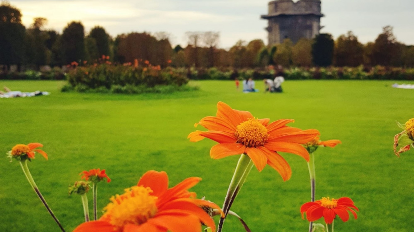 blühende Blumen im Augarten im 2. Bezirk in Wien