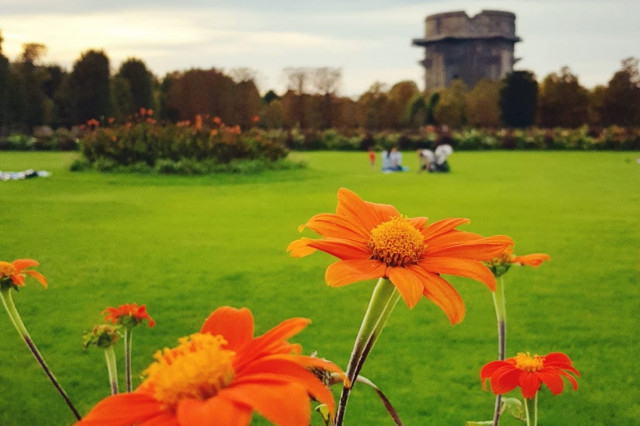 blühende Blumen im Augarten im 2. Bezirk in Wien