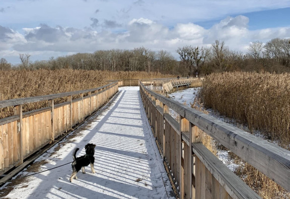Ausflüge Hund Lobau