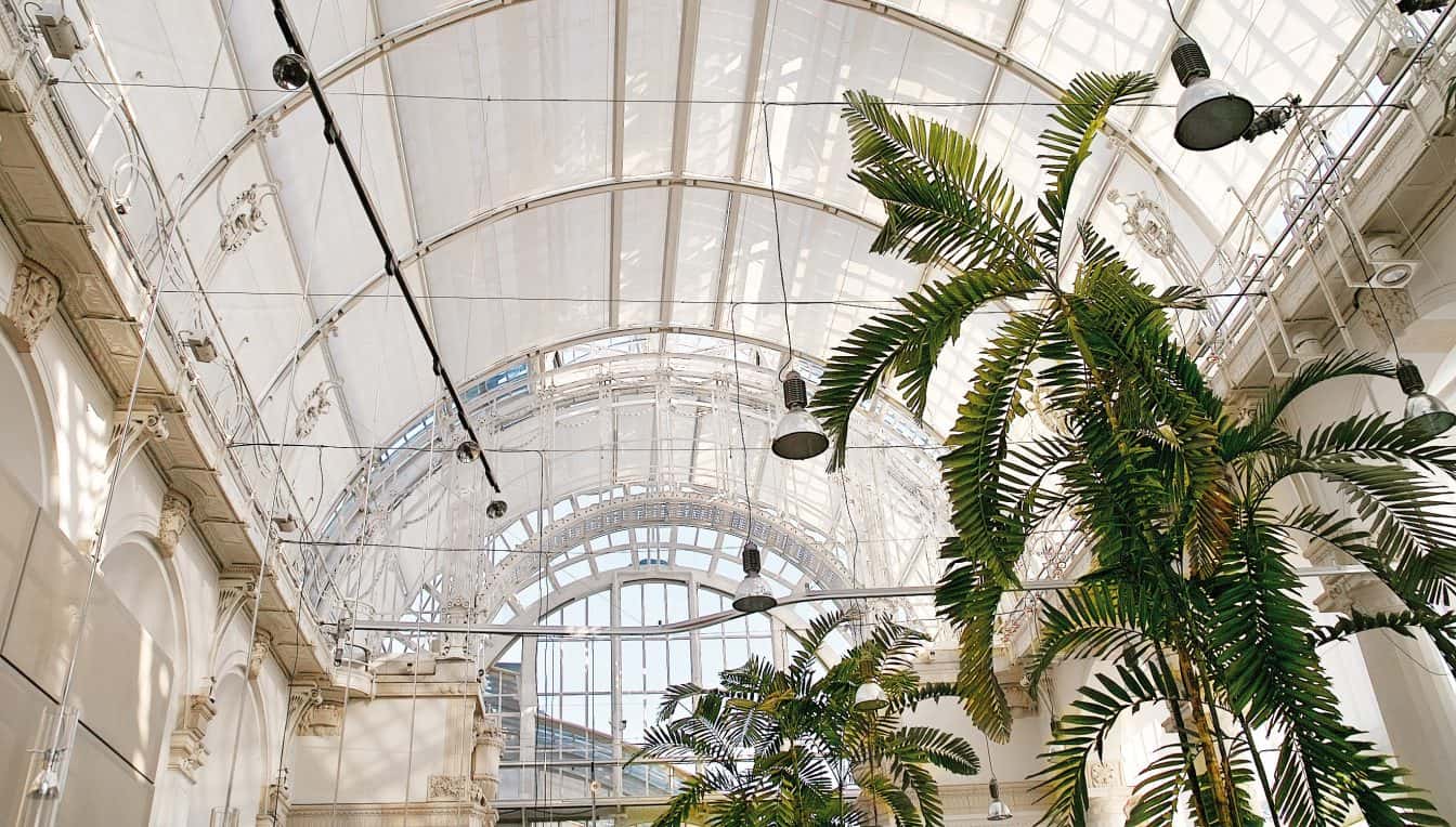 Das Deck des Palmenhauses (c) Gregor Lechner | Palmenhaus