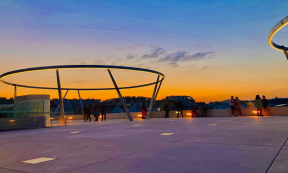 Libelle beim Leopoldsmuseum