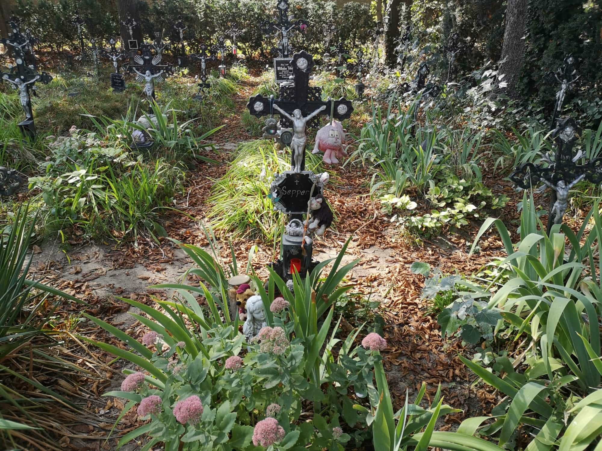 Friedhöfe spazierengehen