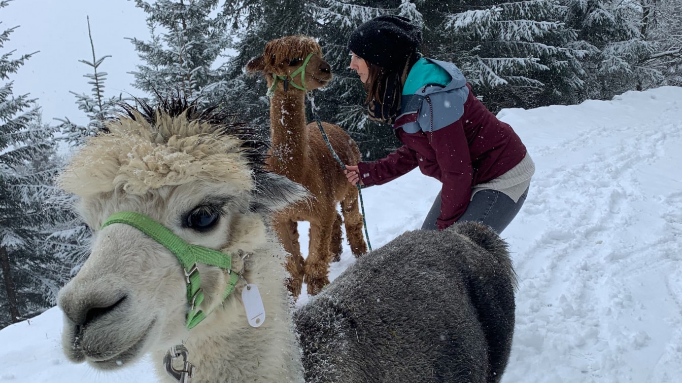 Gemeinsame Zeit schenken
