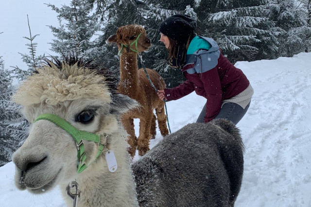 Gemeinsame Zeit schenken
