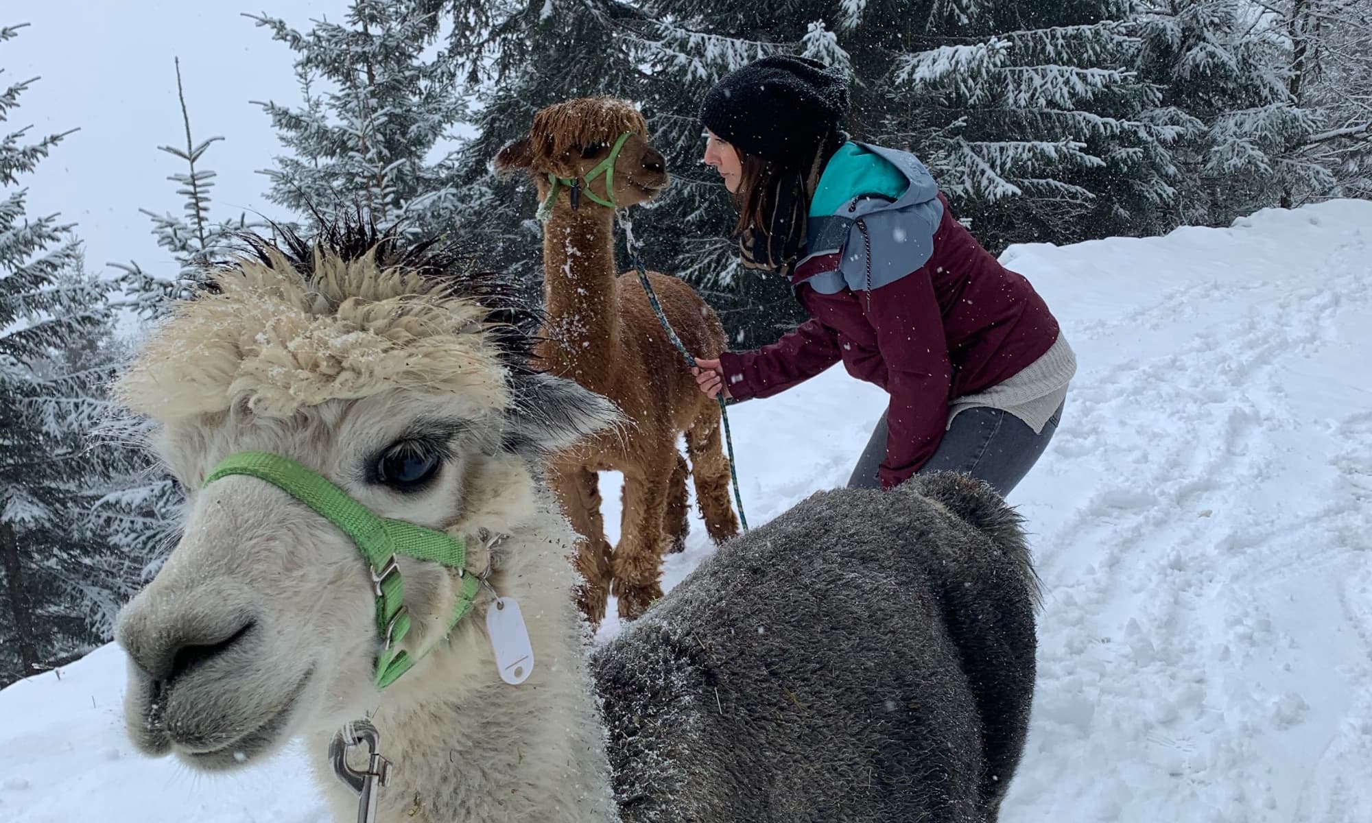 Gemeinsame Zeit schenken