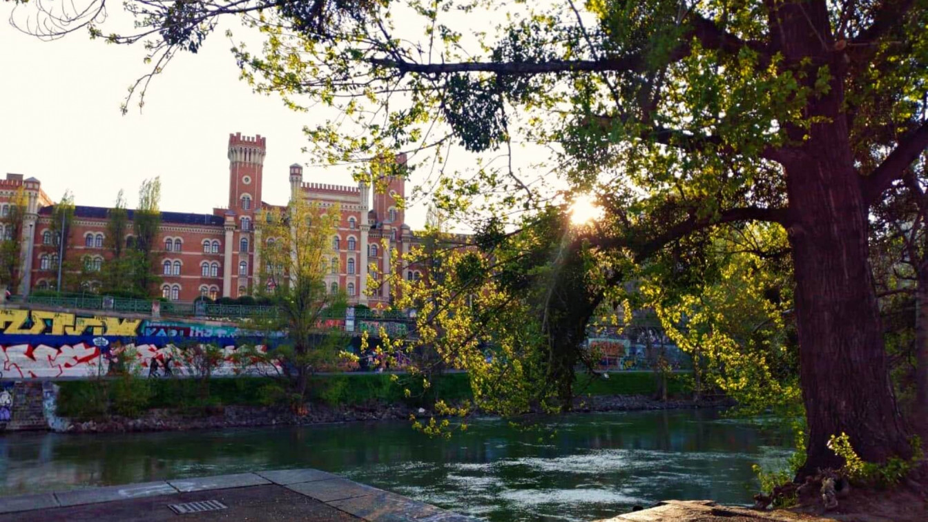 Donaukanal Wien Sommer
