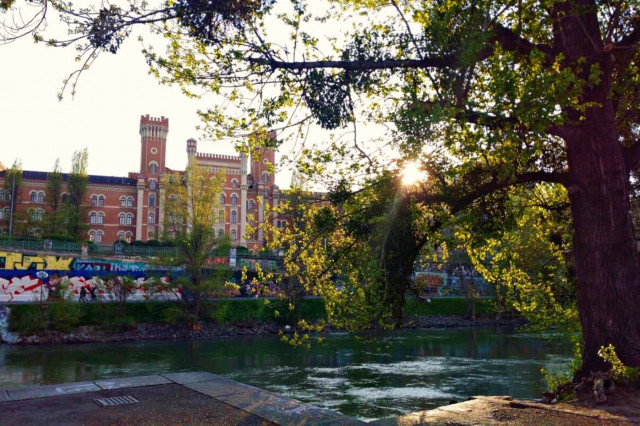 Donaukanal Wien Sommer
