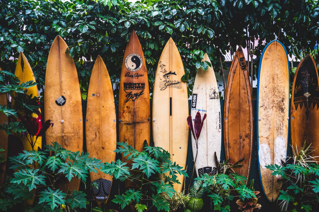 Surfen in Österreich
