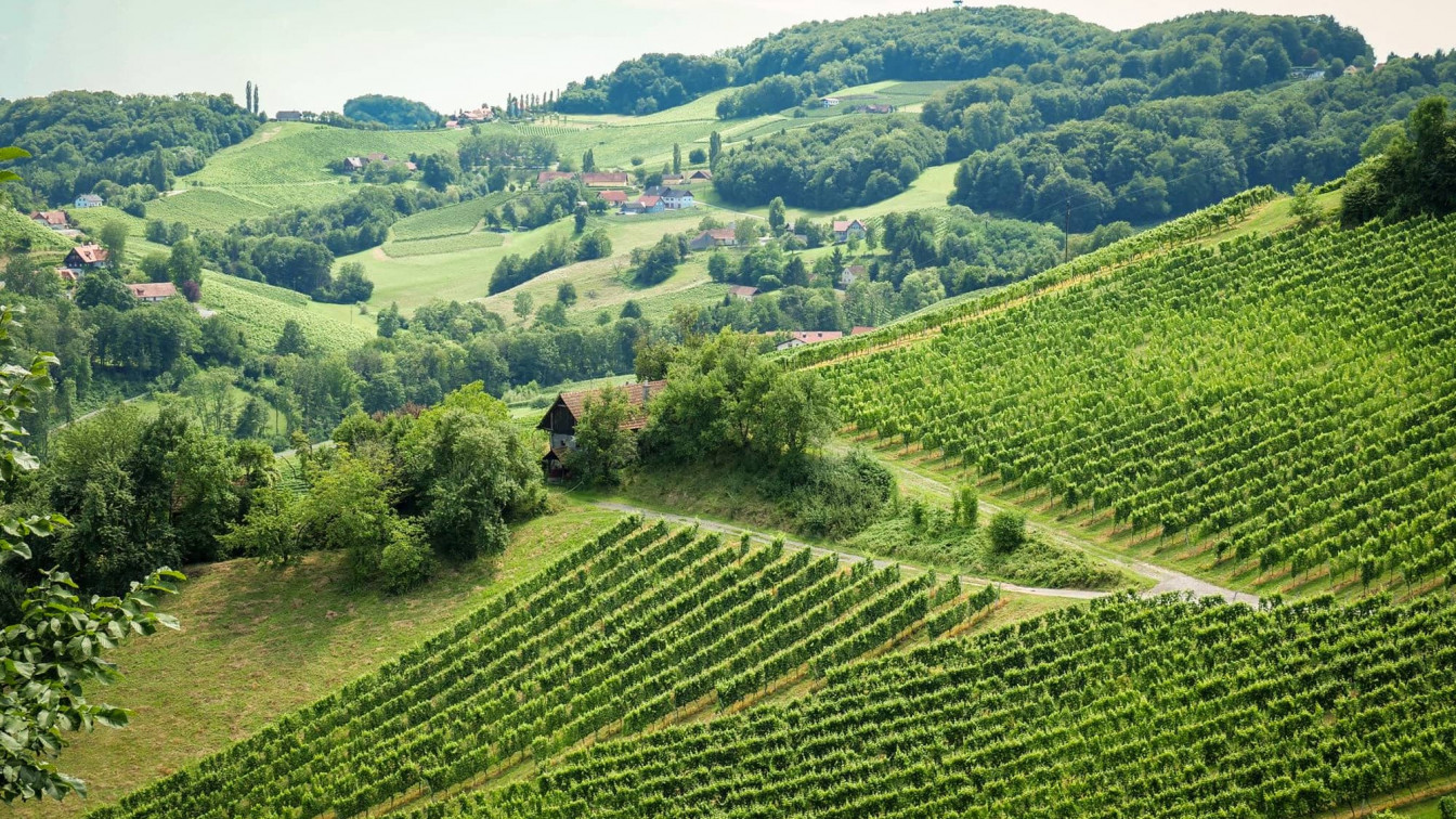 Frankreich in Österreich