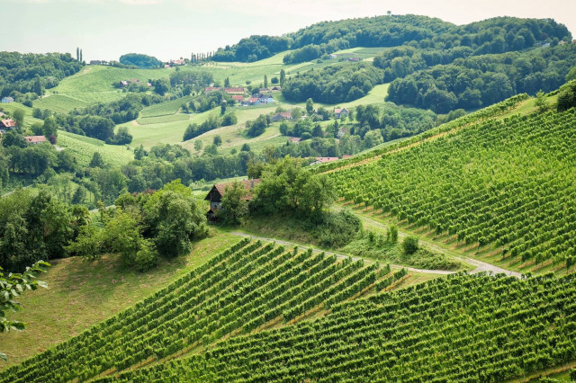 Frankreich in Österreich