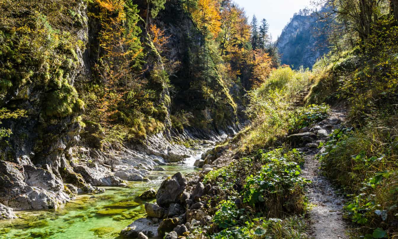 Ein Tal der Oetschergraeben in Niederösterreich, Tormaeuer