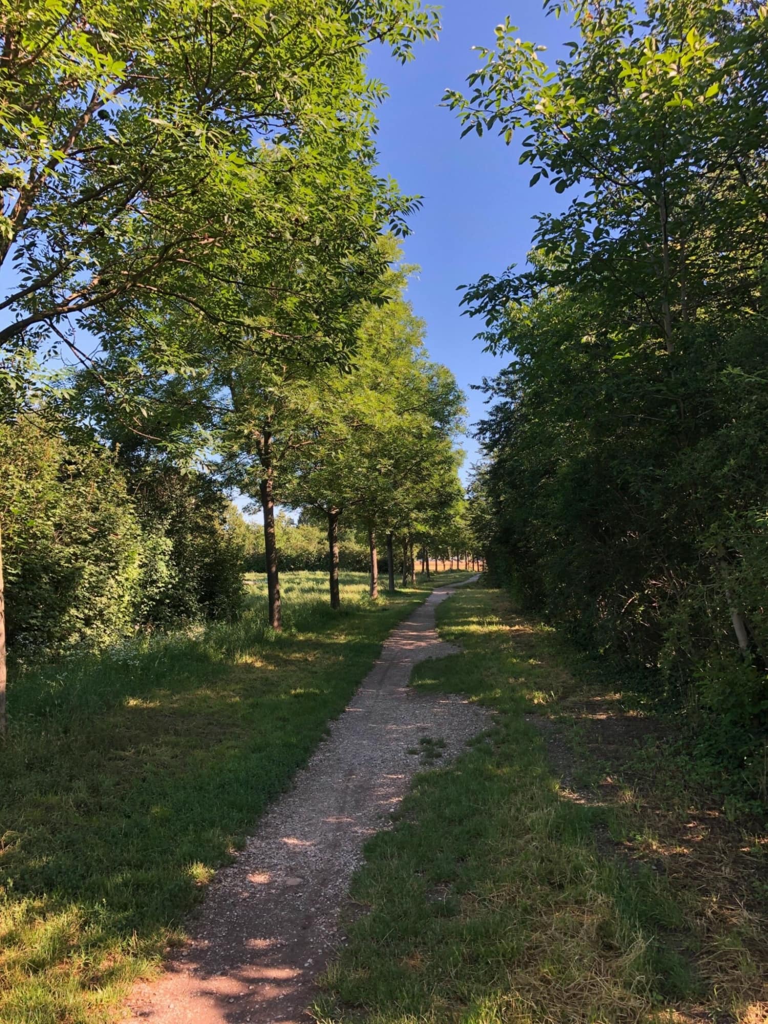 Wien: Stadtwanderweg 10