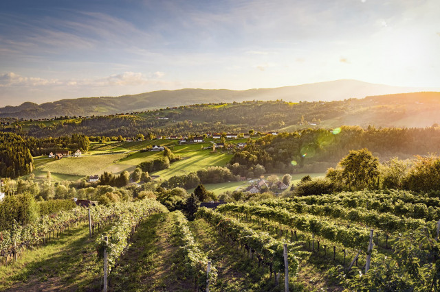weinregionen in österreich