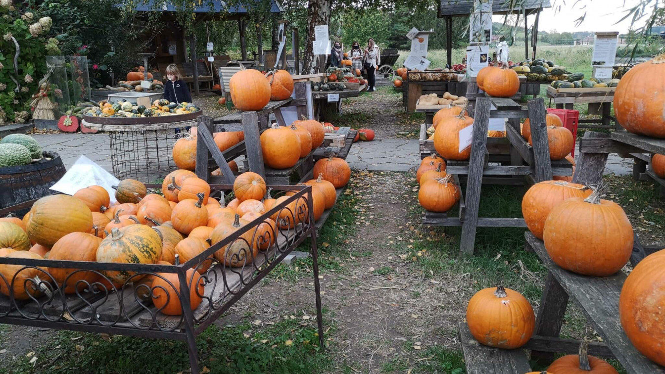 Kürbisranch Asperhofen