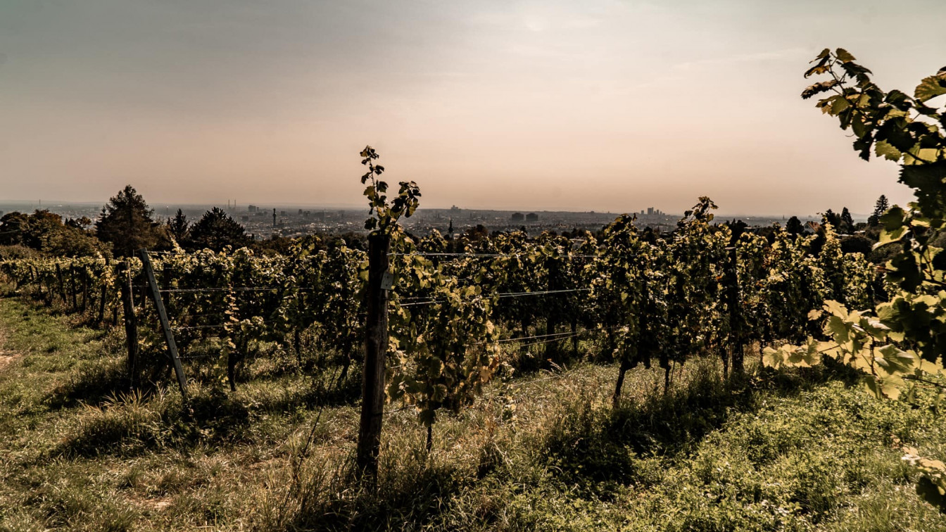 ANKER Grätzel Story