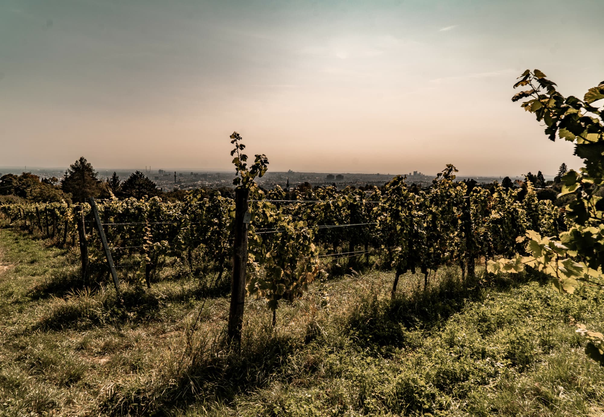 ANKER Grätzel Story