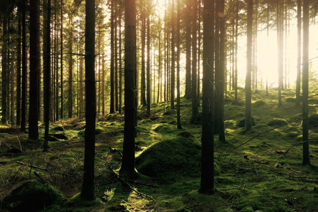 Slow Trips Oberösterreich