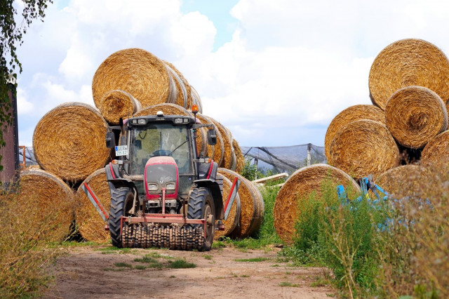 am Land aufgewachsen