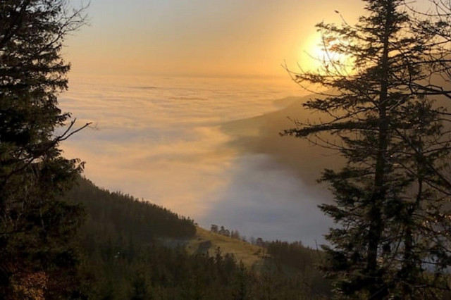 Schneeberg Nebel Wien