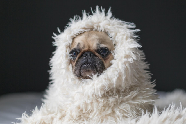 Stimmungstief Winter