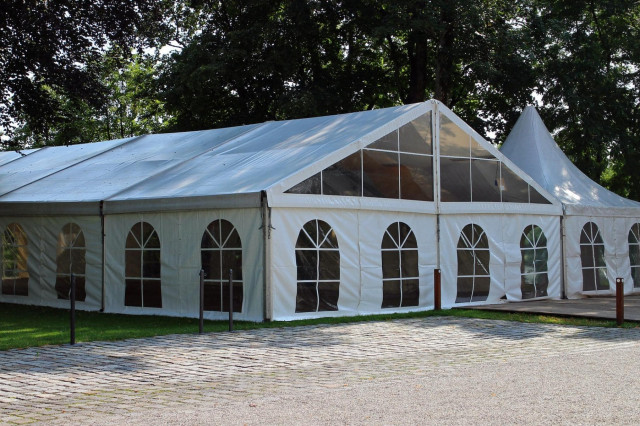 In Niederösterreich aufgewachsen