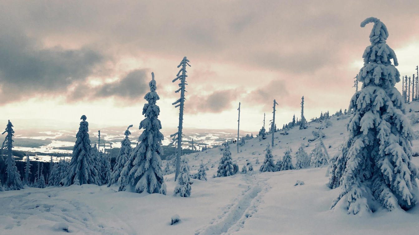 Schneeschuhwanderungen Oberösterreich