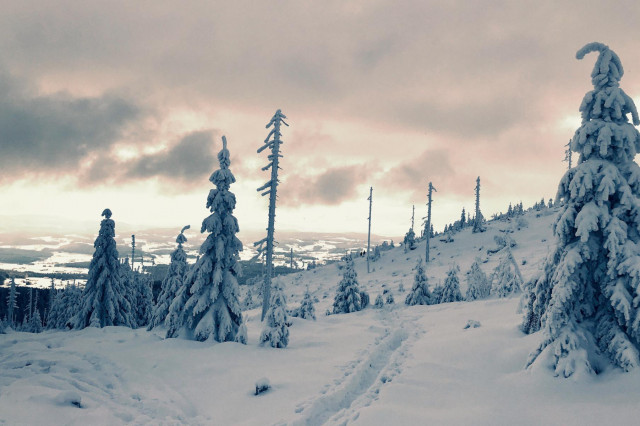 Schneeschuhwanderungen Oberösterreich