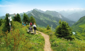 Blumenlehrpfad Damüls-Faschina