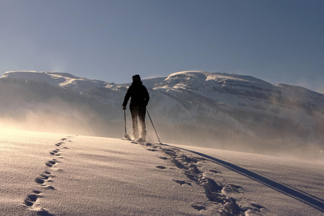 Schneeschuhwanderungen Kärnten
