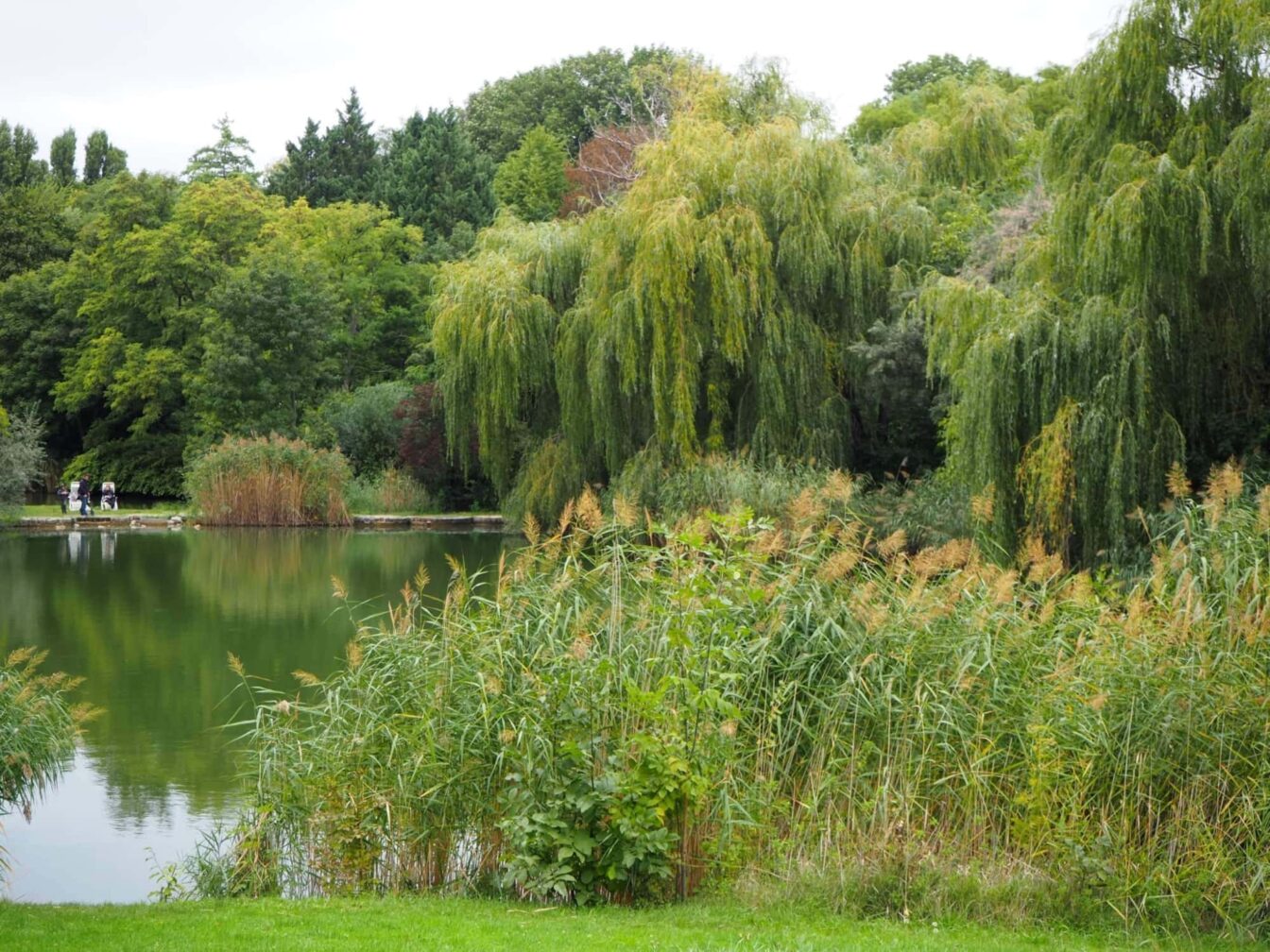 Kurpark Oberlaa: Ein entspanntes Ausflugsziel in Wiens Umgebung, 1100