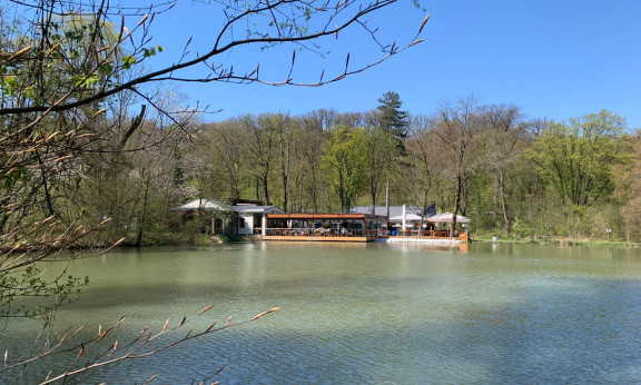 Klee am Hanslteich: Ein Lokal im 17. Bezirk in Wien