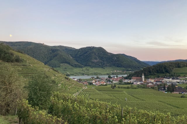 weinwanderung