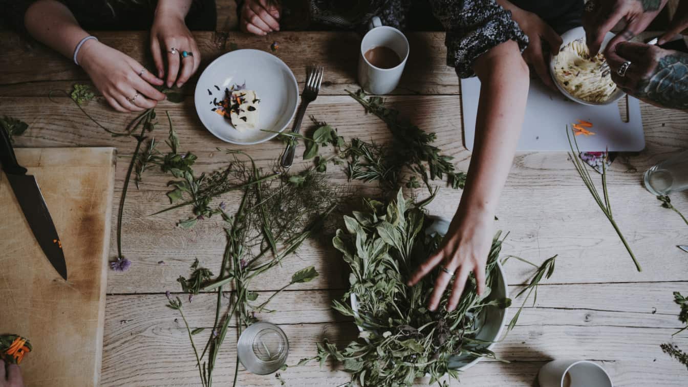 Kräuter sammeln Wien