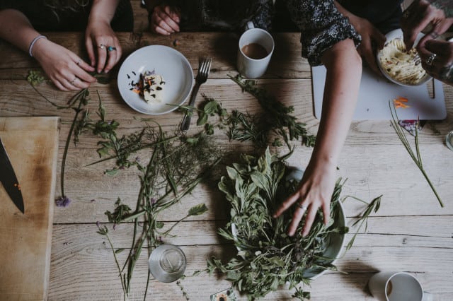 Kräuter sammeln Wien