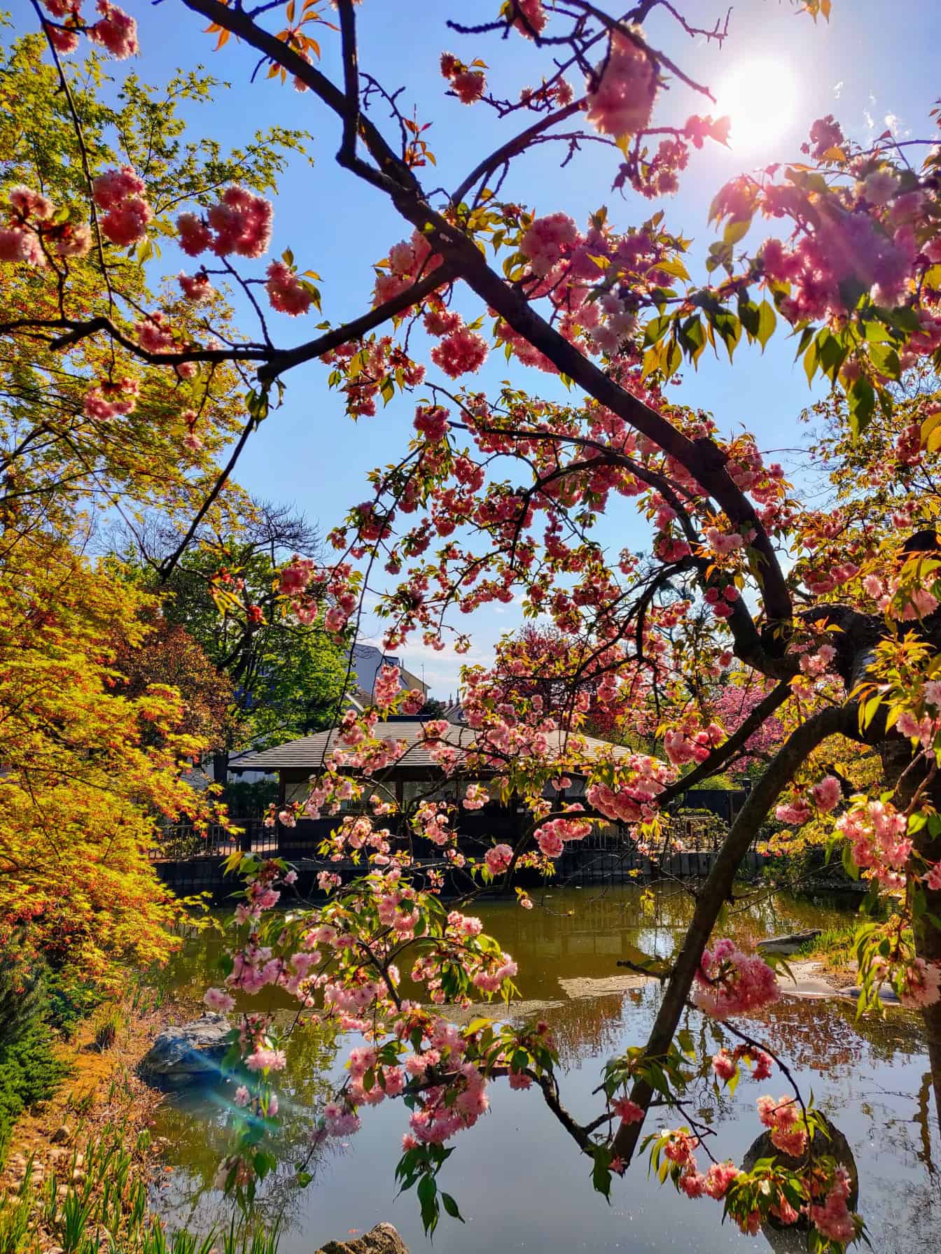 Setagaya Park in Wien