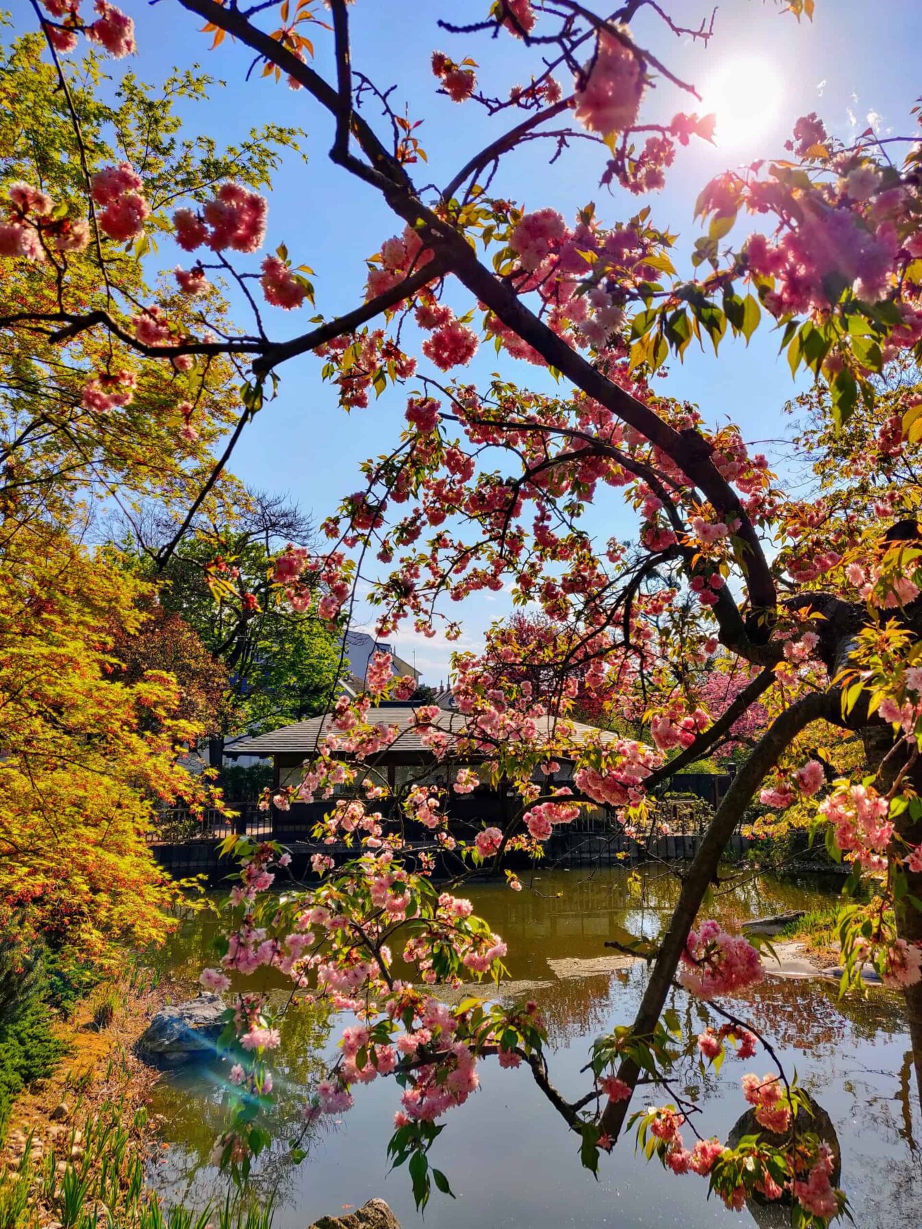 Entspanntes Ausflugsziel: Setagaya Park in Wien, 1190