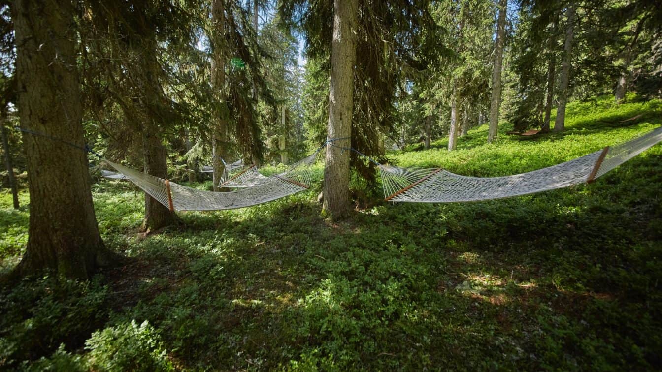 Waldwellness (c) saalbach.com, Daniel Roos